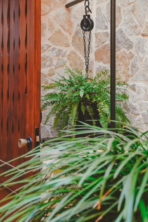 Hostal Can Gallu Cala Ratjada  Bagian luar foto